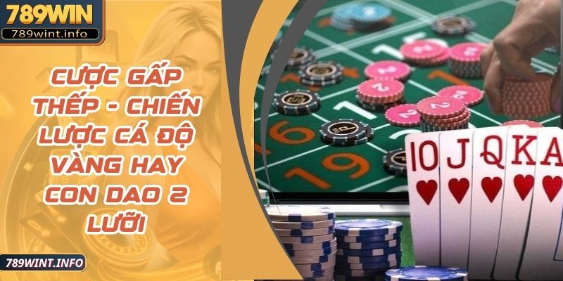Cược Gấp Thếp - Chiến Lược Cá Độ Vàng Hay Con Dao 2 Lưỡi