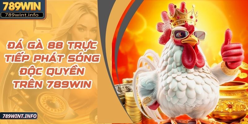 Đá Gà 88 Trực Tiếp Phát Sóng Độc Quyền Trên 789Win