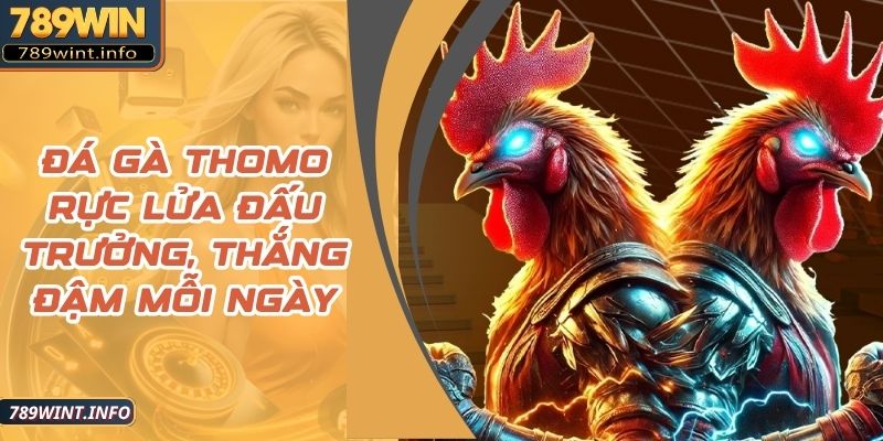 Đá Gà Thomo Rực Lửa Đấu Trưởng, Thắng Đậm Mỗi Ngày