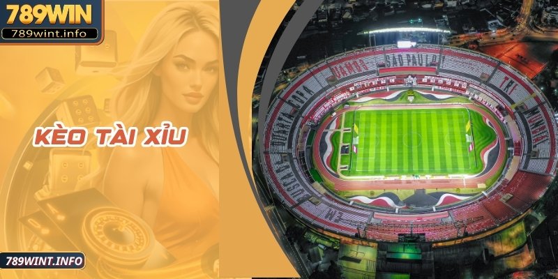 Kèo Tài Xỉu Có Thật Sự Là Một Lựa Chọn Khôn Ngoan?