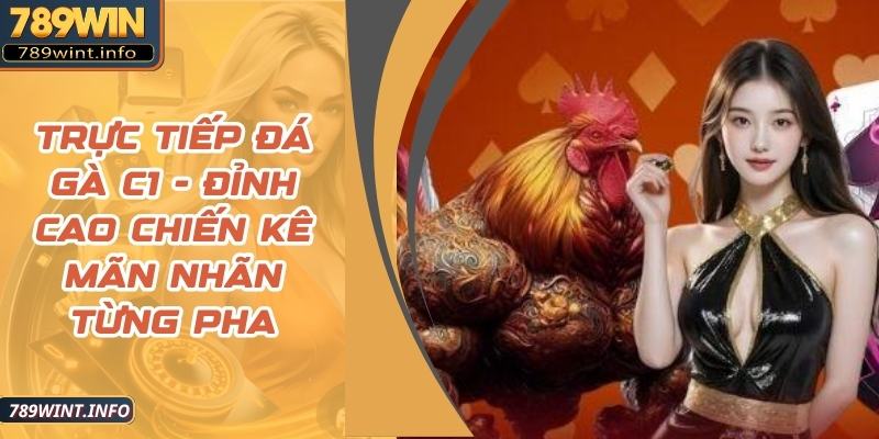 Trực Tiếp Đá Gà C1 - Đỉnh Cao Chiến Kê Mãn Nhãn Từng Pha